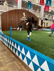 ノーザンホースパークに投稿された画像(2026/3/1)