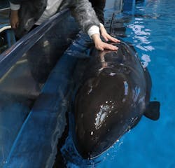 マクセル アクアパーク品川に投稿された画像(2026/3/1)