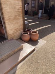 ニジゲンノモリに投稿された画像(2026/3/1)