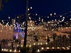 ひらかたパークに投稿された画像(2026/3/2)