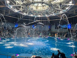 マクセル アクアパーク品川に投稿された画像(2026/3/2)