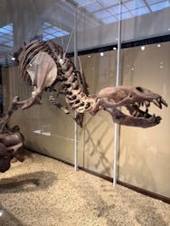 国立科学博物館に投稿された画像(2026/3/2)