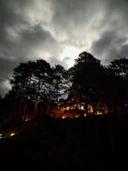 大井川鐵道株式会社に投稿された画像(2026/3/2)