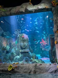 レゴランドⓇ・ジャパン・リゾートに投稿された画像(2026/3/2)