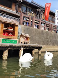 小江戸さわら 舟めぐりに投稿された画像(2026/3/2)