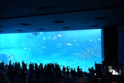 沖縄美ら海水族館に投稿された画像(2026/3/3)