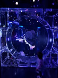 マクセル アクアパーク品川に投稿された画像(2026/3/3)