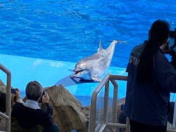 名古屋港水族館に投稿された画像(2026/3/3)