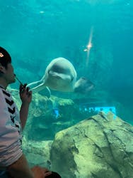 名古屋港水族館に投稿された画像(2026/3/3)