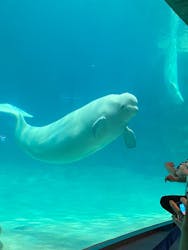 名古屋港水族館に投稿された画像(2026/3/3)