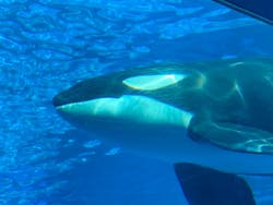 名古屋港水族館に投稿された画像(2026/3/3)