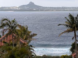 沖縄美ら海水族館に投稿された画像(2026/3/3)