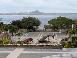 沖縄美ら海水族館に投稿された画像(2026/3/3)