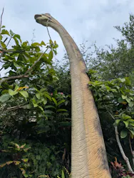 御菓子御殿 名護店 やんばる亜熱帯の森DINO恐竜PARKに投稿された画像(2026/3/4)