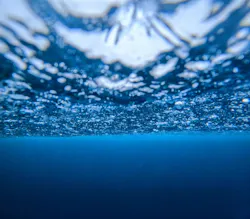 イラブルーツアーズに投稿された画像(2026/3/4)