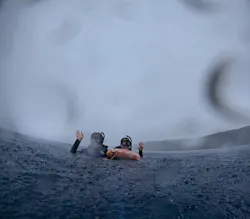 イラブルーツアーズに投稿された画像(2026/3/4)