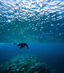 イラブルーツアーズに投稿された画像(2026/3/4)