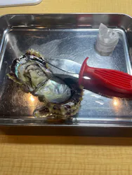 三重県真珠に投稿された画像(2026/3/4)