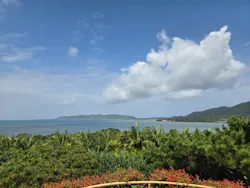 石垣やいま村に投稿された画像(2026/3/6)