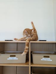 Moff animal world BIGHOPガーデンモール印西店に投稿された画像(2026/3/7)