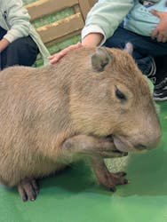 Moff animal world BIGHOPガーデンモール印西店に投稿された画像(2026/3/7)