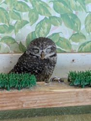 Moff animal world BIGHOPガーデンモール印西店に投稿された画像(2026/3/7)