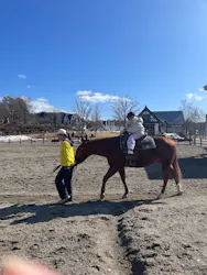 牧歌の里に投稿された画像(2026/3/8)
