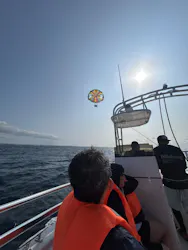 CoCoMarin(ココマリン)に投稿された画像(2026/3/8)