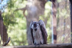 恩賜上野動物園に投稿された画像(2026/3/8)
