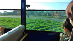 長井海の手公園ソレイユの丘に投稿された画像(2026/3/8)