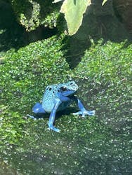 恩賜上野動物園に投稿された画像(2026/3/9)