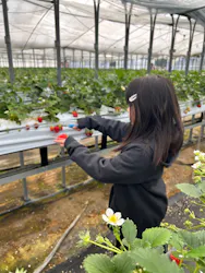 稲鍵ファームに投稿された画像(2026/3/9)