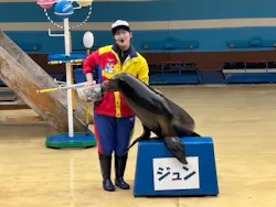 鳥羽湾めぐりとイルカ島に投稿された画像(2026/3/10)