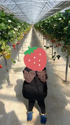 ふぁーむらぼに投稿された画像(2026/3/10)