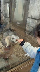 伊豆・三津シーパラダイスに投稿された画像(2026/3/11)