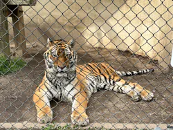 広島市安佐動物公園に投稿された画像(2026/3/12)