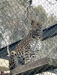 広島市安佐動物公園に投稿された画像(2026/3/12)