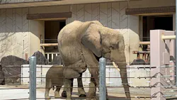 広島市安佐動物公園に投稿された画像(2026/3/12)