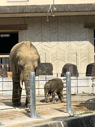 広島市安佐動物公園に投稿された画像(2026/3/12)