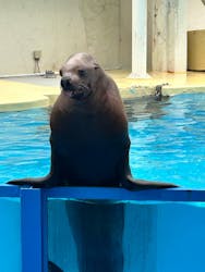 伊豆・三津シーパラダイスに投稿された画像(2026/3/13)