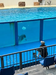 伊豆・三津シーパラダイスに投稿された画像(2026/3/13)