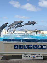 沖縄美ら海水族館に投稿された画像(2026/3/14)