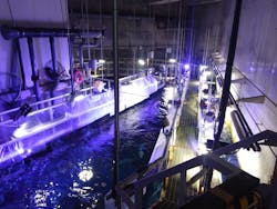 大分マリーンパレス水族館 「うみたまご」に投稿された画像(2026/3/14)