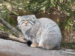 那須どうぶつ王国に投稿された画像(2026/3/14)