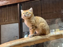 那須どうぶつ王国に投稿された画像(2026/3/14)