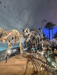 福井県立恐竜博物館に投稿された画像(2026/3/14)
