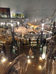 福井県立恐竜博物館に投稿された画像(2026/3/14)
