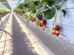 いちご館窪田に投稿された画像(2026/3/14)