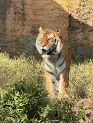 東京動物園協会_多摩動物公園に投稿された画像(2026/3/15)