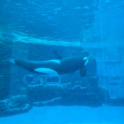 名古屋港水族館に投稿された画像(2026/3/15)